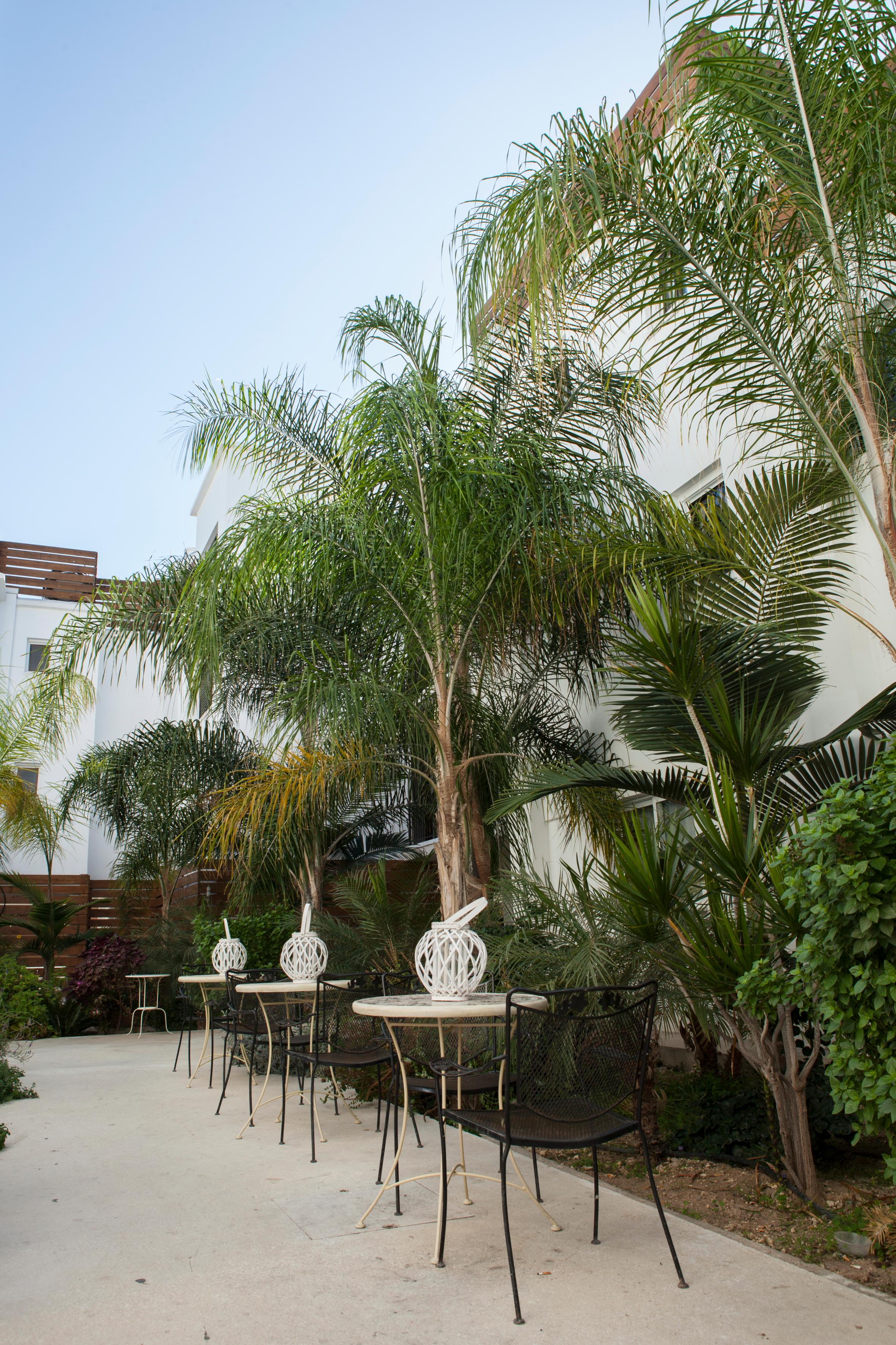 Alecos Hotel Apartments Paphos Kültér fotó