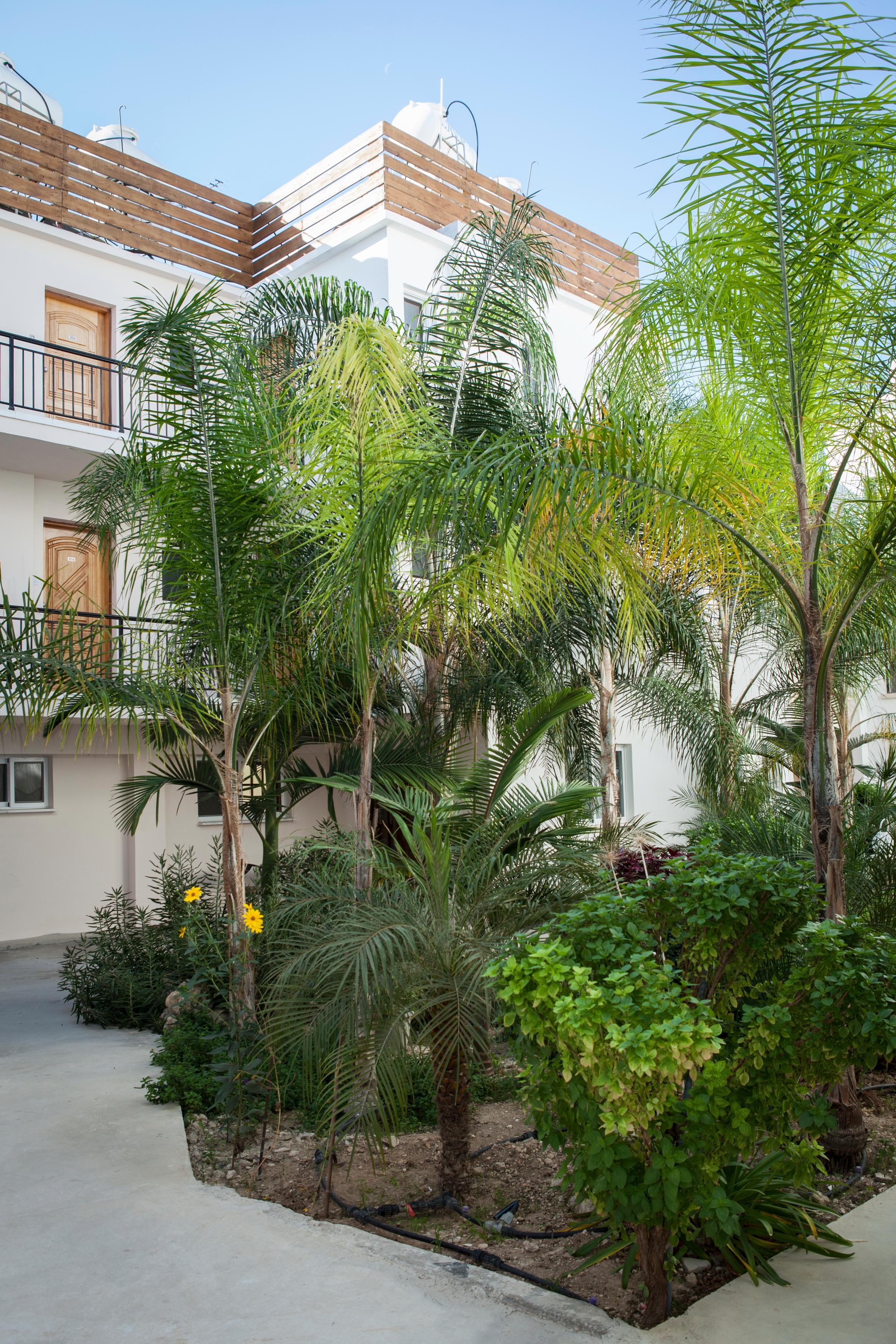 Alecos Hotel Apartments Paphos Kültér fotó
