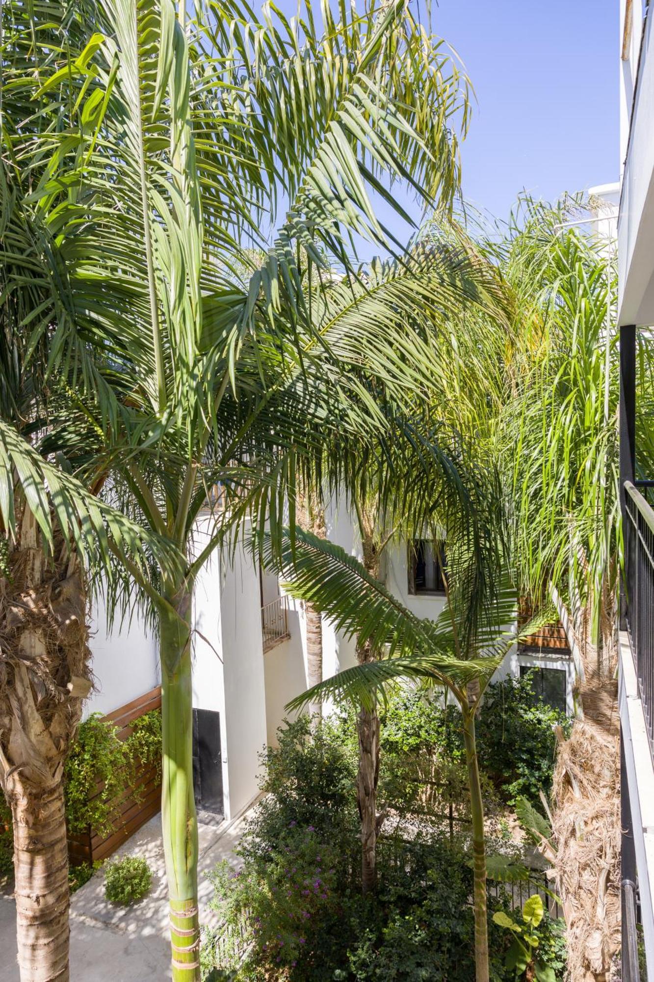 Alecos Hotel Apartments Paphos Kültér fotó